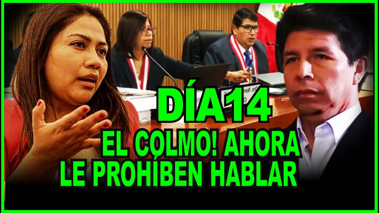 Reproducir: PEDRO CASTILLO: DECLARA CONGRESISTA -JUAREZ PERIODISTA DE TV PERU EN JUCIO "MAMARRACHO" DÍA 14