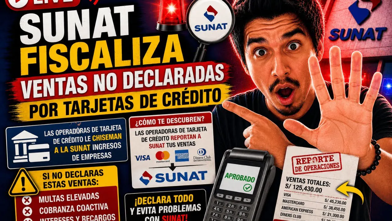 Reproducir: SUNAT fiscaliza ventas no declaradas por Tarjeta de Crédito