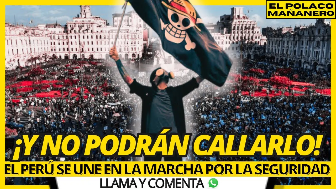 Reproducir: ¿ SE QUIEREN BAJAR LA MARCHA ? : EL PERÚ SE MOVILIZA POR LA SEGURIDAD