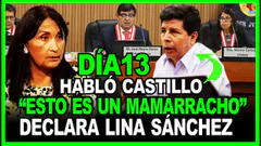 PEDRO CASTILLO: DECLARA LINA SÁNCHEZ EX-SEC.DEL MINDEF Y OTROS JUICIO "FRASA" DÍA 13