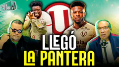 #ENVIVO ¡PANTERA CREMA! SEKOU GASSAMA LLEGÓ A LIMA PARA SUMARSE A UNIVERSITARIO #TOCOYMEVOY