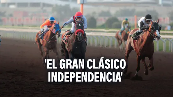 SURCO: SE DISPUTA 'EL GRAN CLÁSICO INDEPENDENCIA' EN EL HIPÓDROMO DE MONTERRICO