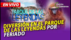 EN VIVO | DISFRUTA EL FERIADO EN EL PARQUE DE LAS LEYENDAS | DETRÁS DE CÁMARAS – Panamericana TV