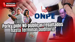 PORKY PIDE NO PUBLICAR RESULTADOS HASTA TERMINAR AUDITORÍA - NOTICIAS RANDOM