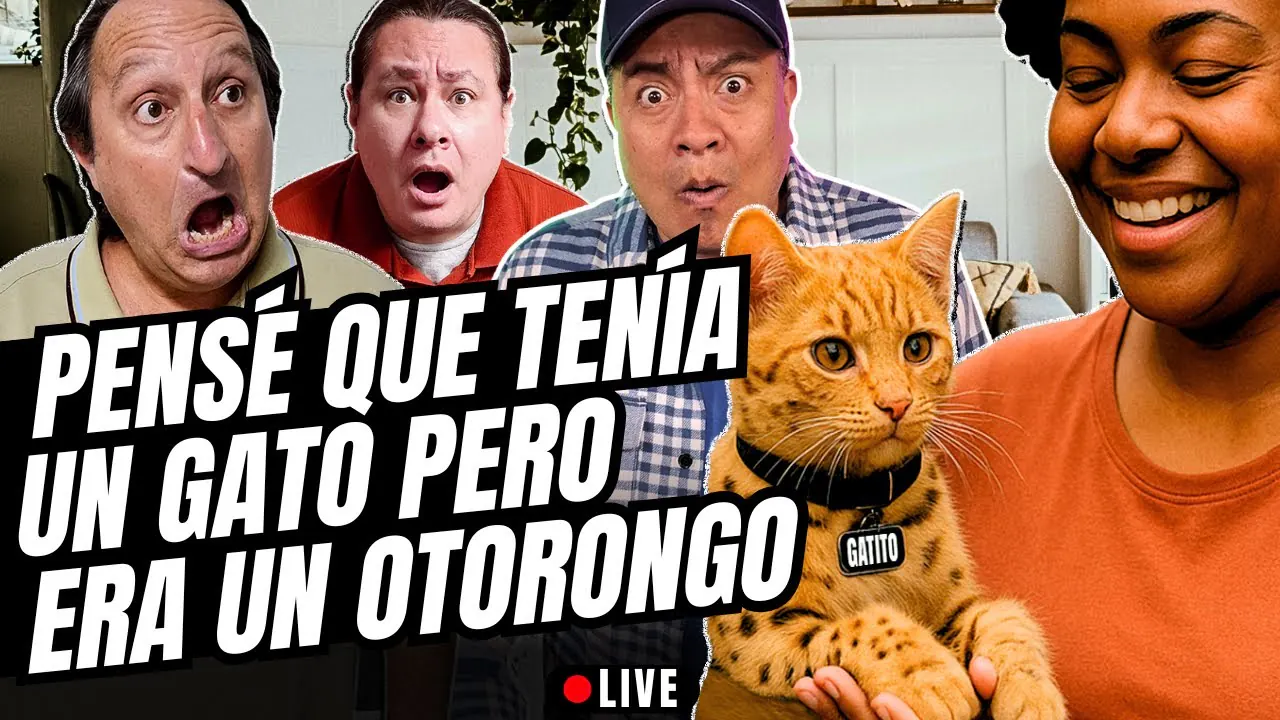 Reproducir: ¿Eres Dog lover o Cat lover? ¿Cómo le dices de cariño? Travesuras de mascota - Los Malditos Podcast