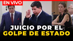 EN VIVO: CONTINÚA JUICIO A PEDRO CASTILLO POR EL GOLPE DE ESTADO EN 2022 | El Comercio