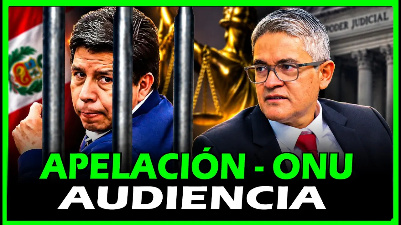 Reproducir: ÚLTIMO MINUTO!  EX- FISCAL JOSÉ D. PEREZ DEFIENDE AL PDTE P. CASTILLO EN AUDIENCIA DE APELACIÓN -ONU