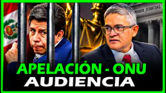 ÚLTIMO MINUTO! EX- FISCAL JOSÉ D. PEREZ DEFIENDE AL PDTE P. CASTILLO EN AUDIENCIA DE APELACIÓN -ONU
