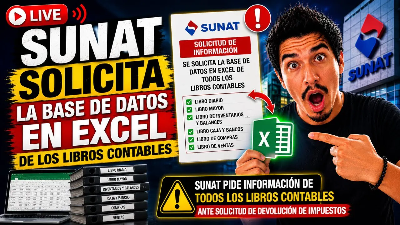 Reproducir: SUNAT solicita la base de datos en EXCEL  de todos libros contables
