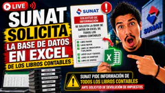 SUNAT solicita la base de datos en EXCEL de todos libros contables