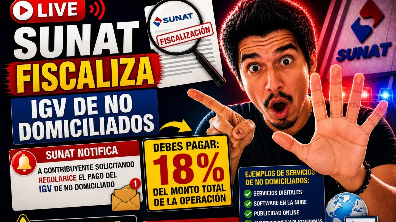 Reproducir: SUNAT solicita el pago de IGV DE DOMICILIADOS