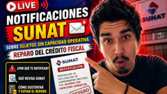 Notificaciones SUNAT sobre Sujetos Sin Capacidad Operativa - Reparo del Crédito Fiscal
