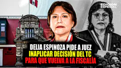 #EnVivo Delia Espinoza quiere volver a la Fiscalía: pide a juez inaplicar decisión del TC