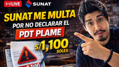 SUNAT me multa por no declarar el PDT PLAME