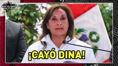 ¡CAYÓ DINA! | #BRUTALIDADPOLITICA