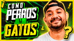 MI PERRA ME ODIA |#dosmasynosvamos