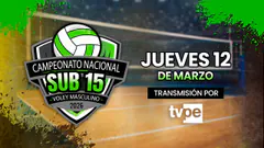 Campeonato Nacional Sub-15 de Vóley Masculino