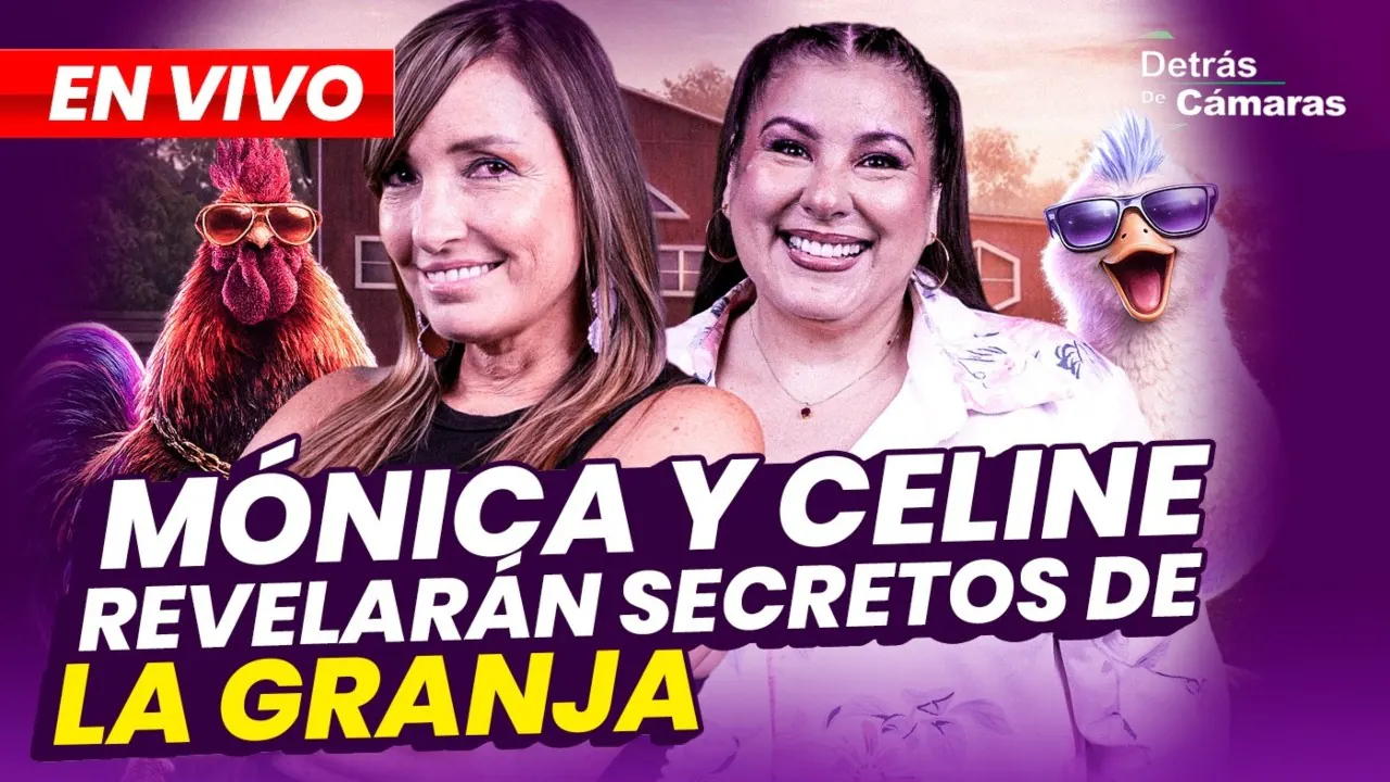 Reproducir: 🔴 EN VIVO – CELINE Y MÓNICA CONTARÁN SECRETOS DE LA GRANJA VIP | DETRÁS DE CÁMARAS – Panamericana TV