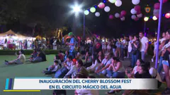 Festival de Cherry Blossom. 21 de marzo.
