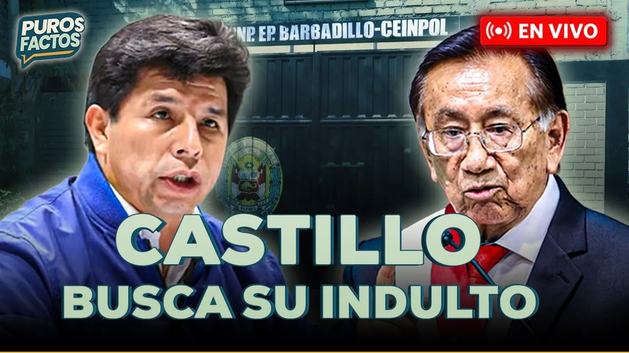 Reproducir: 🚨 #ENVIVO | ¡PEDRO CASTILLO PIDE FORMALMENTE SER INDULTADO POR BALCÁZAR! #PUROSFACTOS