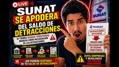 Sunat se apodera del saldo de detracciones - Ingreso como recaudación