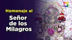 Willax en vivo - HOMENAJE AL SEÑOR DE LOS MILAGROS 01/11/2025 | Willax