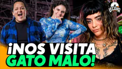 MAMAMAMAMAMAMAMAMAMAMAMAMAMAMAMAMAMAMAMAMAMAMAMAMAMAMAMAMAMAMARTES MUSICAL 26.05 | LEGAÑA