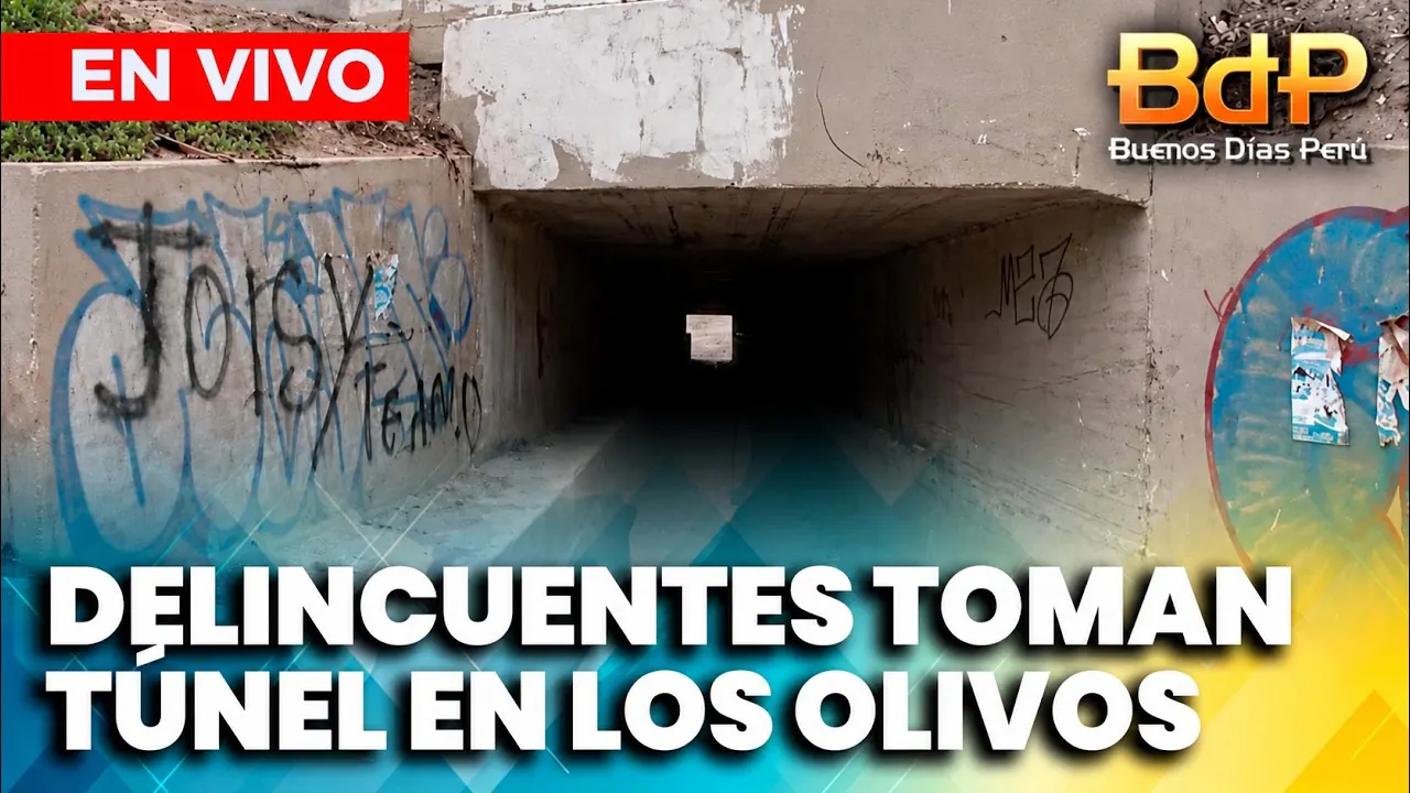 Reproducir: 🟡 EN VIVO - BUENOS DÍAS PERÚ PROGRAMA COMPLETO | VIERNES 25 DE SETIEMBRE DEL 2026