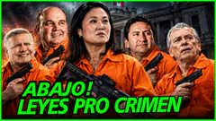 LEYES PRO CRIMEN EN LA MIRA! PALATAFORMA CIUDADADNA EN DEFENSA DE LA VIDA Y LA SEGURIDAD