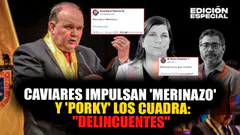 #EnVivo Caviares aprovechan marcha e impulsan 'Merinazo' para acabar con presidencia de Boluarte