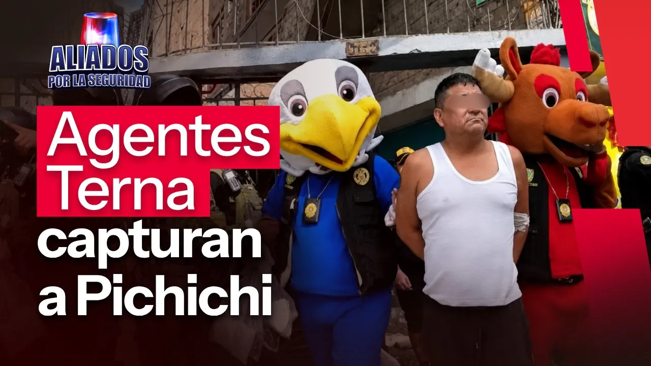 Reproducir: Cae Pichichi en operativo encubierto del Grupo Terna | "Aliados por la seguridad" por Radio Nacional