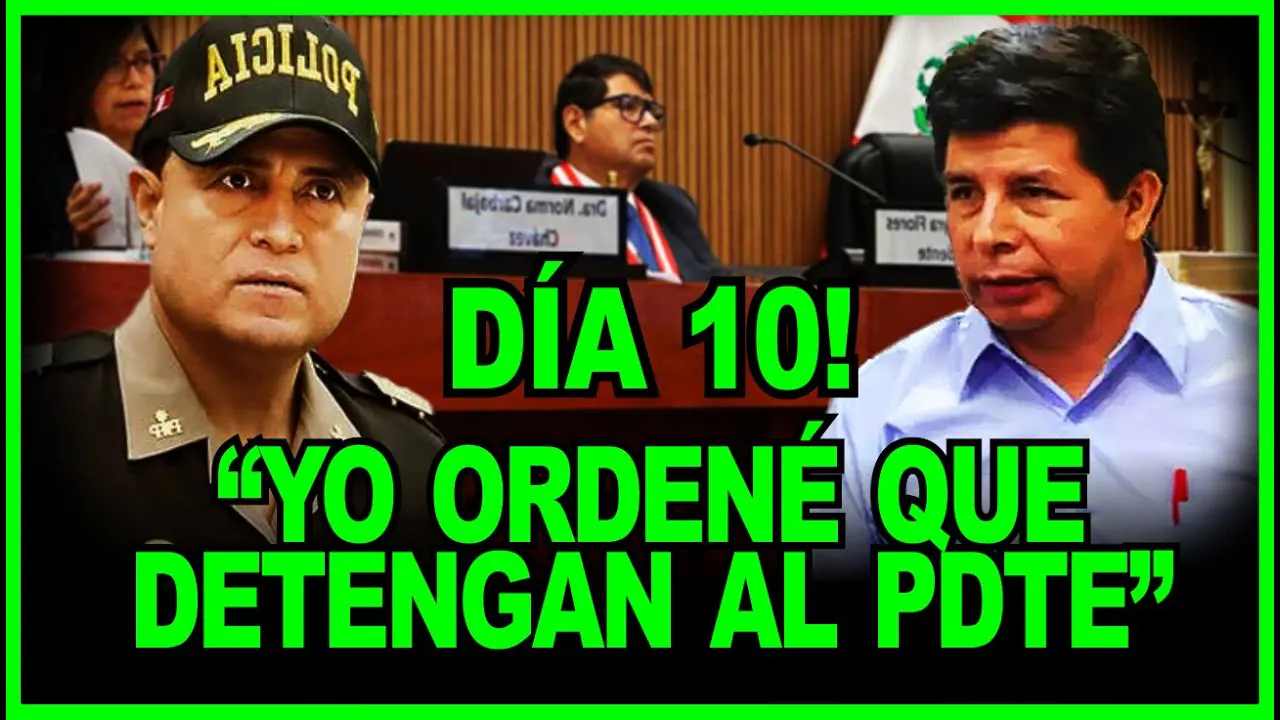 Reproducir: 🔴Pedro Castillo: Continua el juicio "FARSA" por rebelión DIA10 declara Raúl Alafaro o tros PNP
