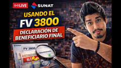 Usando el FV 3800 - Declaración de Beneficiario final