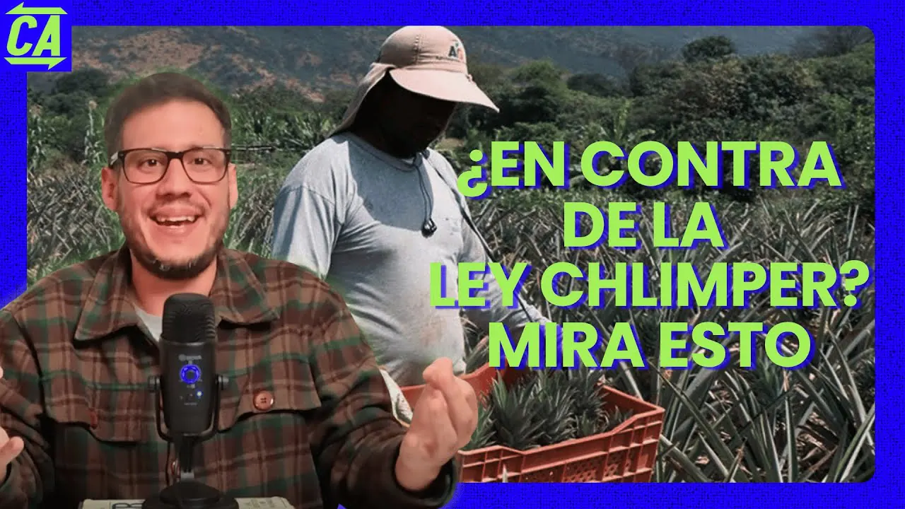 Reproducir: ¿En contra la Ley Chlimper? Mira esto EN VIVO 9/06