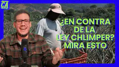 ¿En contra la Ley Chlimper? Mira esto EN VIVO 9/06
