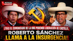 ROBERTO SANCHEZ LLAMA LA INSURGENCIA TRAS EL COMUNICADO DE LA ONU SOBRE CASTILLO - NOTICIAS RANDOM