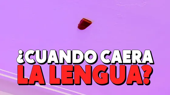 CUANDO CAERÁ LA LENGUA? - #AFLOFI #LOFIHIPHOP