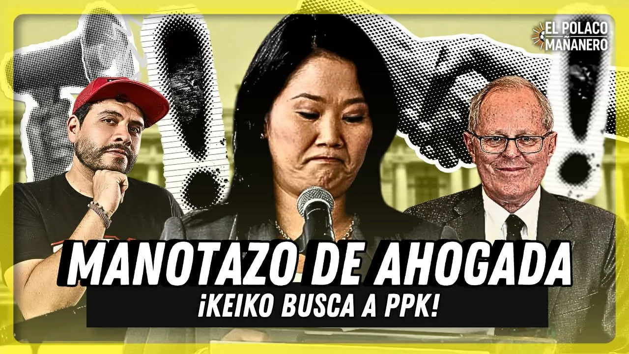 Reproducir: FINCH RESPONDE A LA FUNA : CREMAS SE VOLTEARON CONTRA PANELISTA  🕶️🔴
