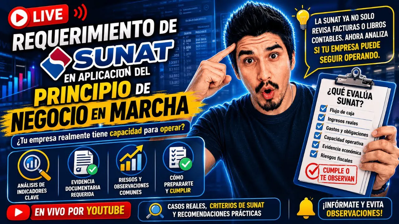 Reproducir: Requerimiento de SUNAT en aplicacion del Principio de Negocio en Marcha