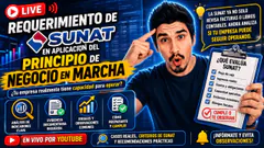 Requerimiento de SUNAT en aplicacion del Principio de Negocio en Marcha