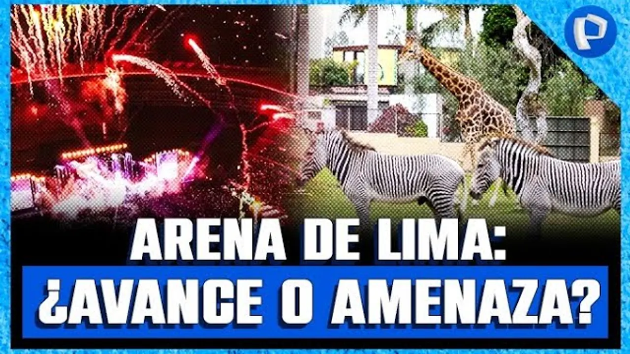Reproducir: 🏟️¿Un megaproyecto que pone en riesgo al Parque de las Leyendas?🦁🌳 | #PanamericanaDigital