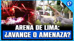 ¿Un megaproyecto que pone en riesgo al Parque de las Leyendas? | #PanamericanaDigital