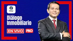 PBO EN VIVO