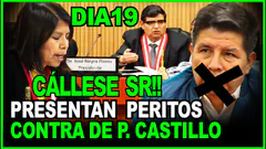PEDRO CASTILLO! EMPIEZAN LAS PERICIAS EN JUICIO "FARSA" DIA19