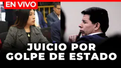 JUICIO A PEDRO CASTILLO EN VIVO: Cuatro nuevos testigos de la fiscalía citados