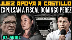 INCREÍBLE: JUEZ SE REBELA Y DECLARA INOCENTE AL PRESIDENTE CASTILLO /EXPULSAN A FISCAL DOMINGO PÉREZ