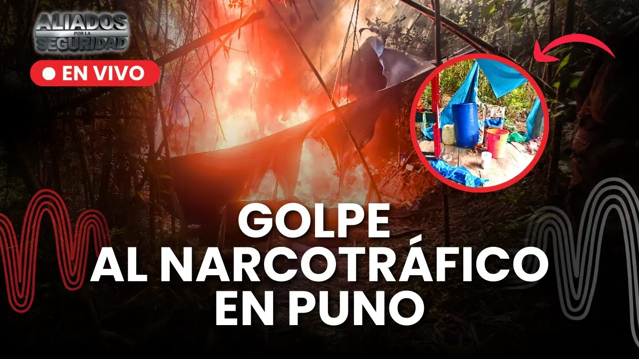 Reproducir: Golpe al TRÁFICO ILÍCITO DE DROGAS: destruyen LABORATORIOS CLANDESTINOS en zona rural de Puno