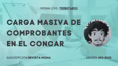 CARGA MASIVA DE COMPROBANTES EN EL CONCAR