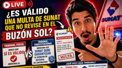 ¿Es valido una multa de SUNAT que no reviso el contribuyente en el buzón sol?