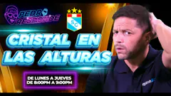 ¡PEDRO QUIERE SHOW! DEJA TU PREGUNTA #PedroResponde